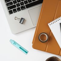 Chocolate mint (4)